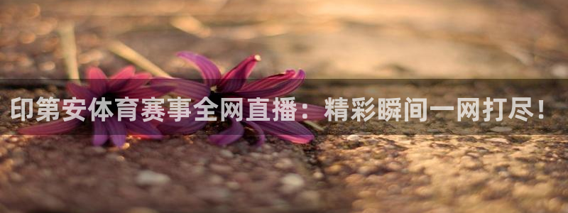 88看球直播官网入口