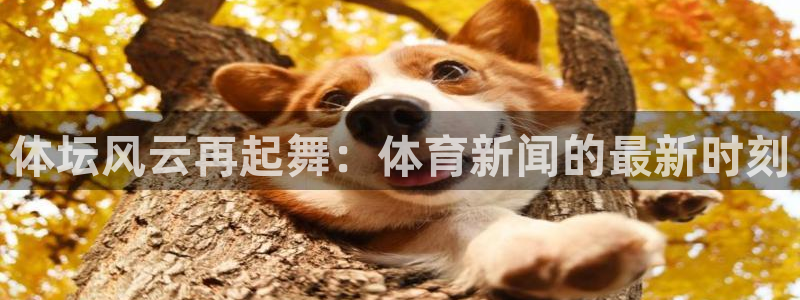 nba直播_足球直播_免费在线直播_88看球官网