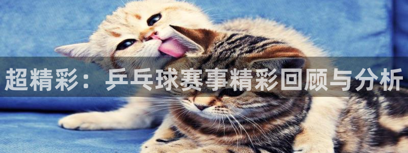 88看球直播 在线观看