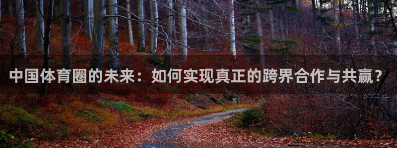 88看球吧直播nba
