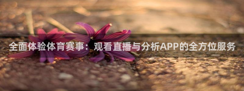 188看球网nba直播在线观看免费