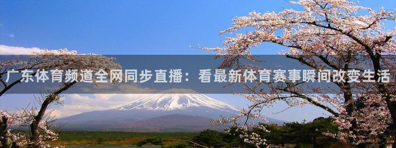 88看球免费nba直播