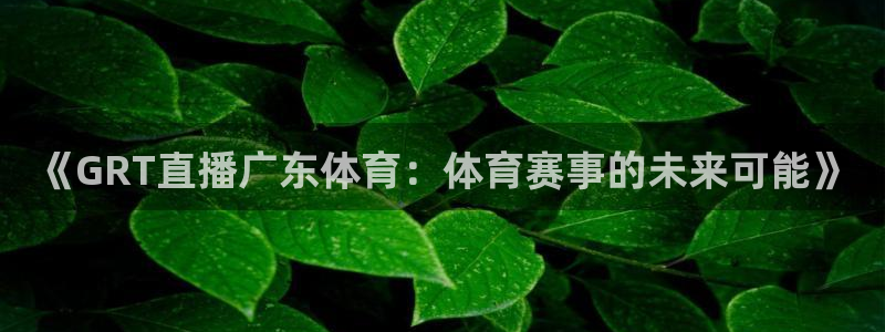 nba88看球在线直播：《GRT直播广东体育：体育赛事的未来可能》