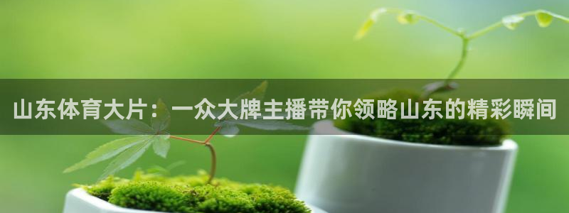 88看球:足球直播_nba线上看_免费体育直播：山东体育大片：一众大牌主播带你领略山东的精彩瞬间