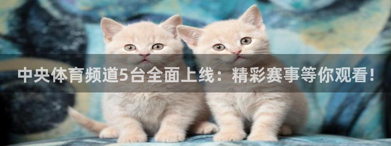 88看球直播：中央体育频道5台全面上线：精彩赛事等你观看!